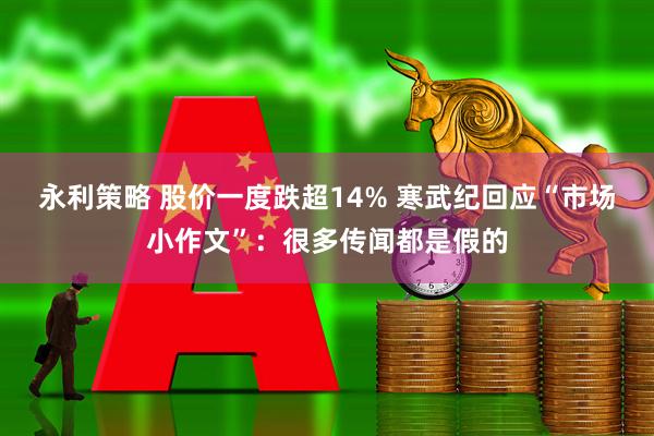 永利策略 股价一度跌超14% 寒武纪回应“市场小作文”：很多传闻都是假的
